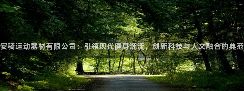 球王会体育官方正版app娱乐平台:安骑运动器材有限公司:引领